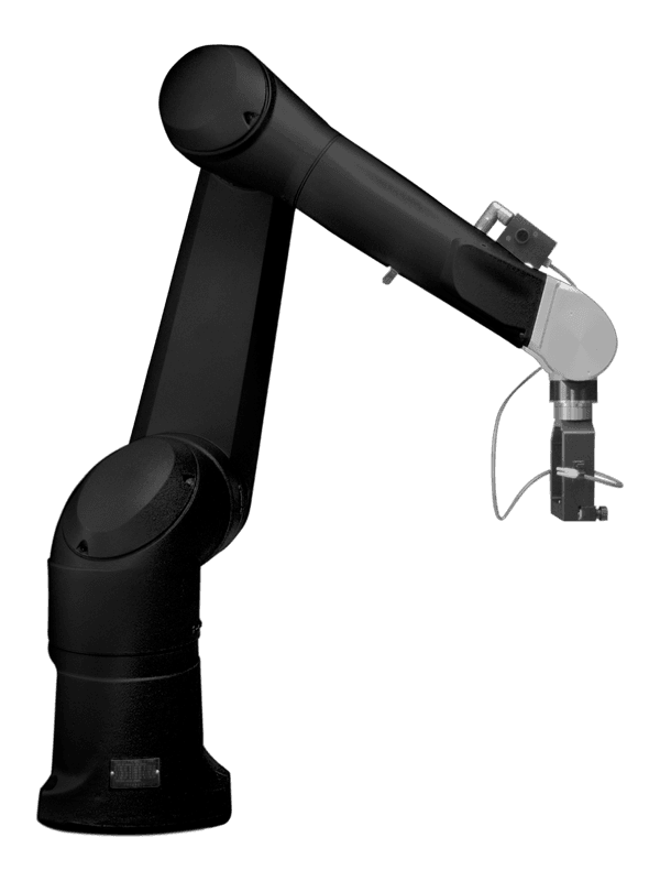 Arm Image